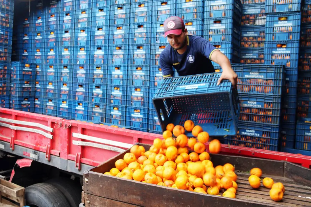 Projeto de Lei 3144/26 prioriza armazenagem de hortifrutis em programas federais de infraestrutura. É essencial ter est…