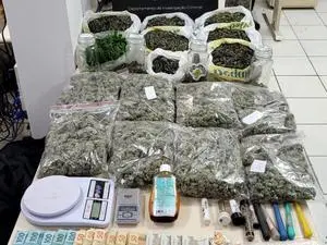 200 pés de maconha foram apreendidos em Santa Catarina, alegando uso medicinal. O conflito entre legalidade e cultivo p…