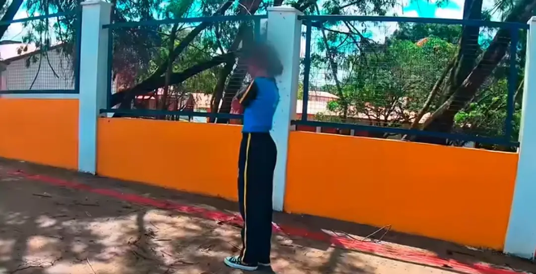 Garota de 12 anos foi atacada por abelhas em Belo Horizonte, ficando internada no CTI de Contagem. Colmeia caiu de árvo…