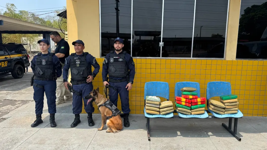 Trinta quilos de drogas foram achados em um ônibus que ia de Manaus pra Porto Velho. A cachorra da Guarda Municipal fez…
