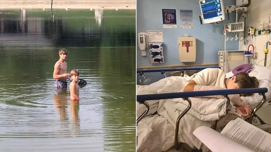 Maryland, EUA. Um garoto de 13 anos foi atacado por um castor rabídico de cerca de 1,20 metro de comprimento. Ataques a…