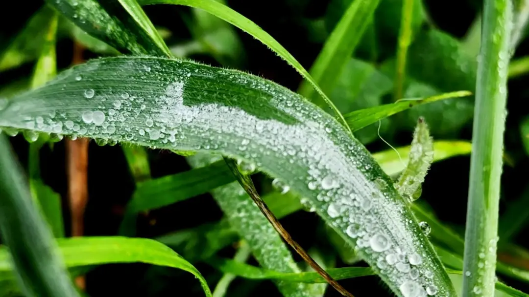 Massa de ar frio mantém baixas as temperaturas no Sul do Brasil, com previsão de geadas em alguns pontos. A estabilidad…