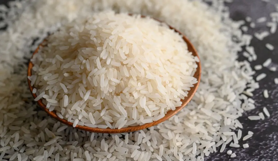 Arroz, lavou ou não lavou, depende da receita. Tirar o amido ajuda a deixar os grãos mais separados no arroz acompanham…