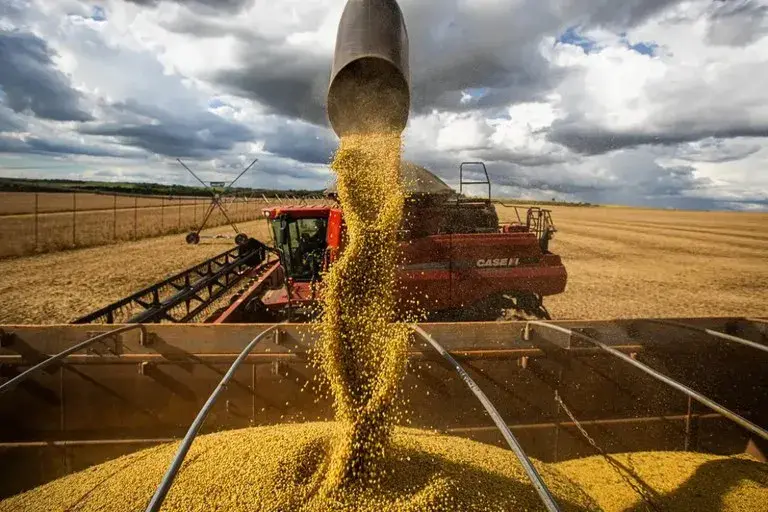 366,6 milhões de toneladas, essa é a projeção da Conab para a produção de grãos em 2026/27. A expansão da área semeada …