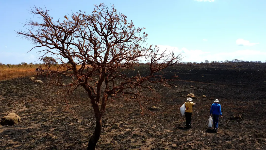 Nove em cada dez brasileiros querem propostas climáticas dos candidatos. 91% da população considera isso importante, ma…