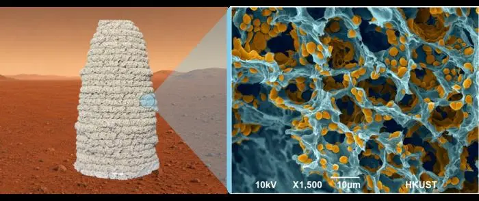 Pesquisadores da Universidade de Hong Kong usaram levedura geneticamente modificada para criar materiais estruturais, v…