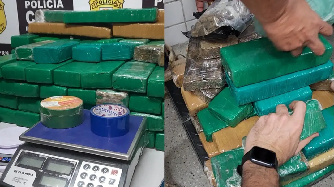 Mais de 120 quilos de maconha foram apreendidos em uma oficina no bairro Salgado, em Caruaru. Ver algo assim exposto, e…