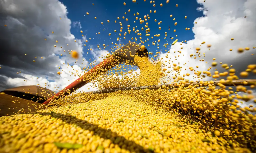 Produção agrícola brasileira atingiu quase 930 bilhões de reais em 2025, um salto de 18,4% em relação a 2024. O crescim…