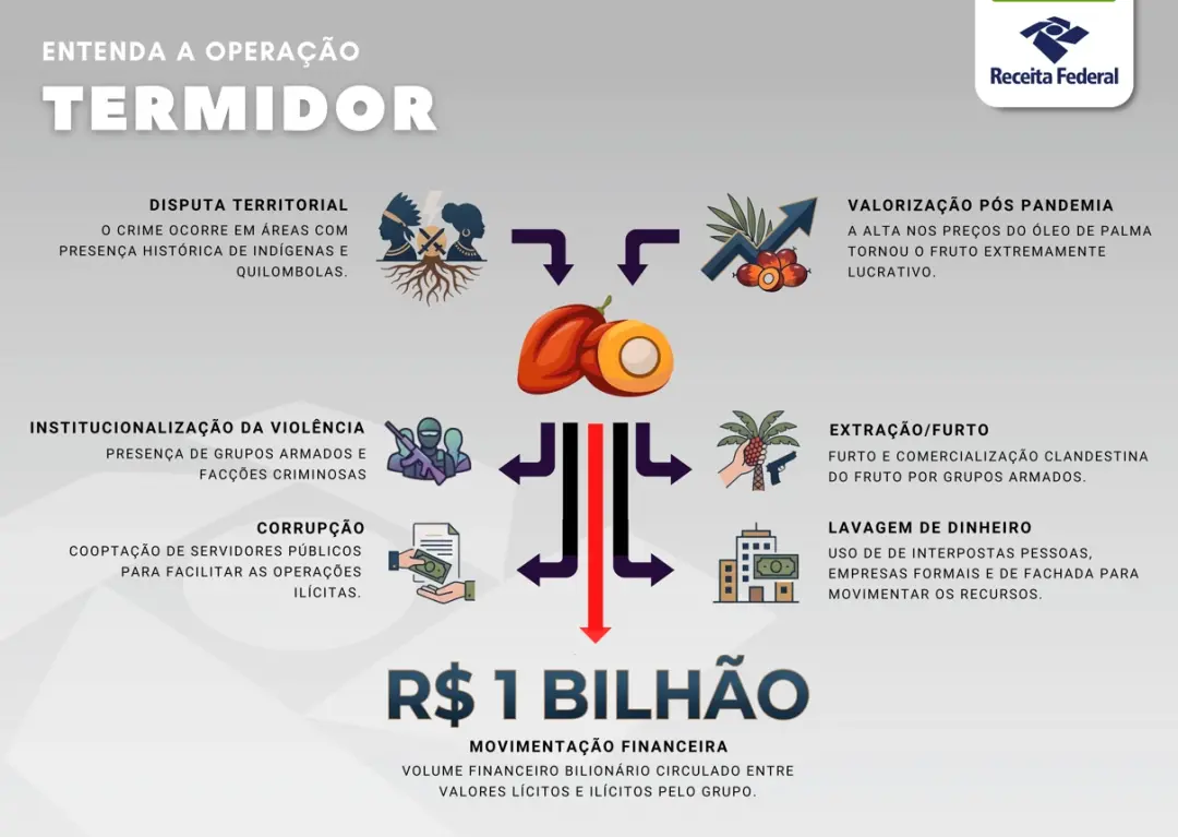 Operação Termidor mira grupos no Pará que movimentaram R$ 1 bilhão no comércio ilegal de dendê entre 2023 e 2026. A mis…