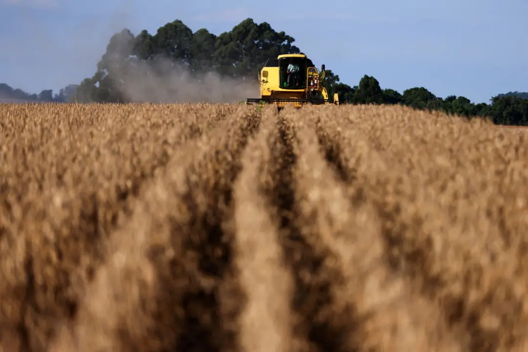 Corte de 0,25 ponto na Selic traz pouco alívio para o agronegócio, segundo a Zera. A redução de 0,25 ponto diminui em c…