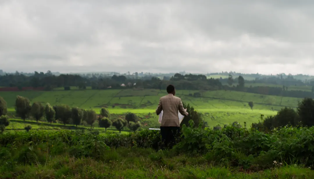 Kikuyu Land mostra a luta por terras ancestrais de bilhões de dólares no Quênia. A tomada dessas áreas férteis pela col…