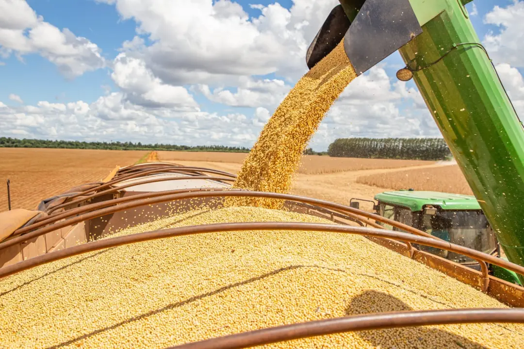2025, produção agrícola do Brasil atingiu 345,4 milhões de toneladas, com Goiás sendo o 5º maior valorizado. Esse aumen…