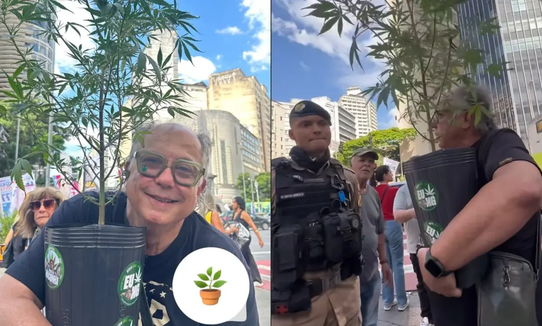 Praça Sete de Setembro em Belo Horizonte teve um candidato levando um pé de maconha para campanha em defesa da legaliza…