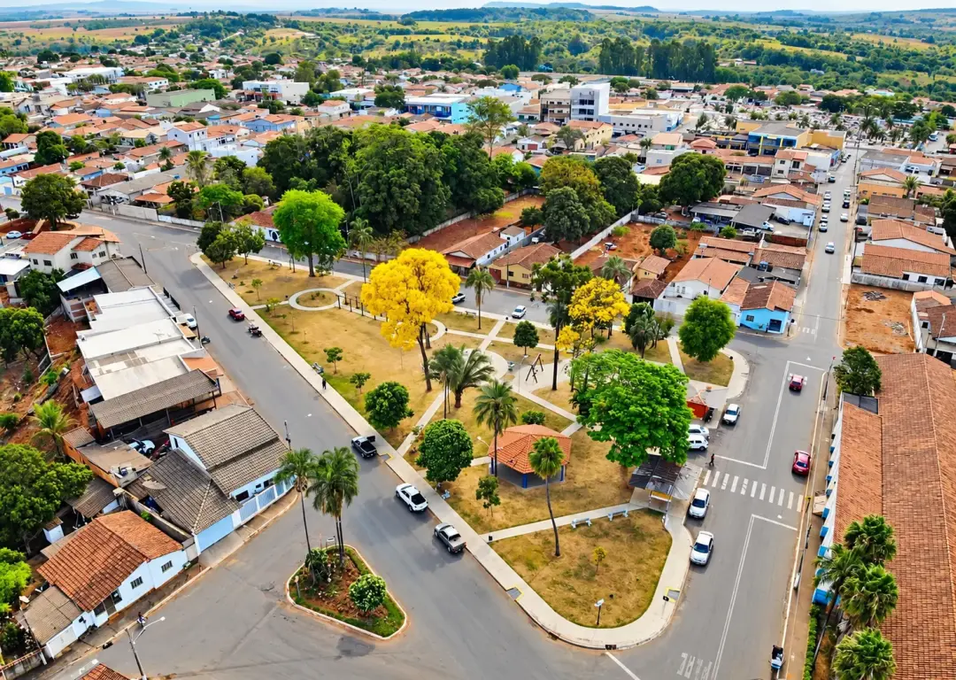 Silvânia, em Goiás, liderou a produção nacional de tomate industrial em 2025 com 361 mil toneladas, um aumento de 77,3%…