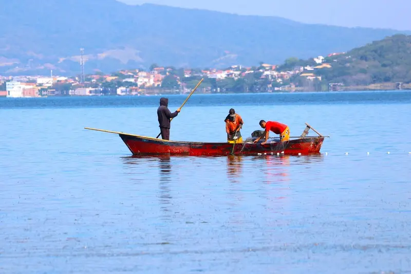 Crescimento de 19,4% na produção pesqueira da Lagoa de Araruama entre janeiro e agosto de 2026. Isso mostra que a recup…