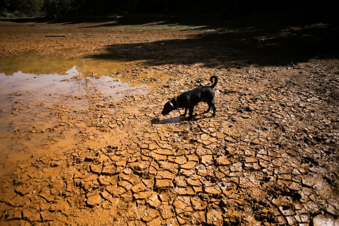 Ciclo da água mais errático, diz o relatório, com 34 a 38 por cento das bacias em condições normais nos últimos sete an…