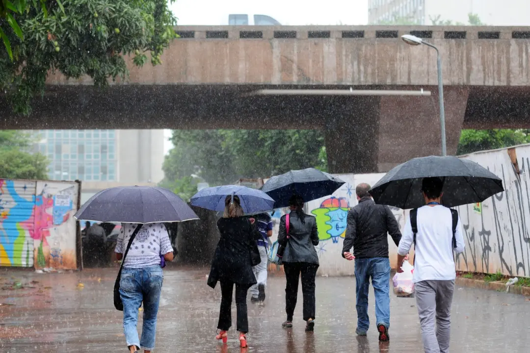 84 km/h de rajadas no temporal de quarta no Distrito Federal. Danos graves em Arapoanga com árvores e postes derrubados…