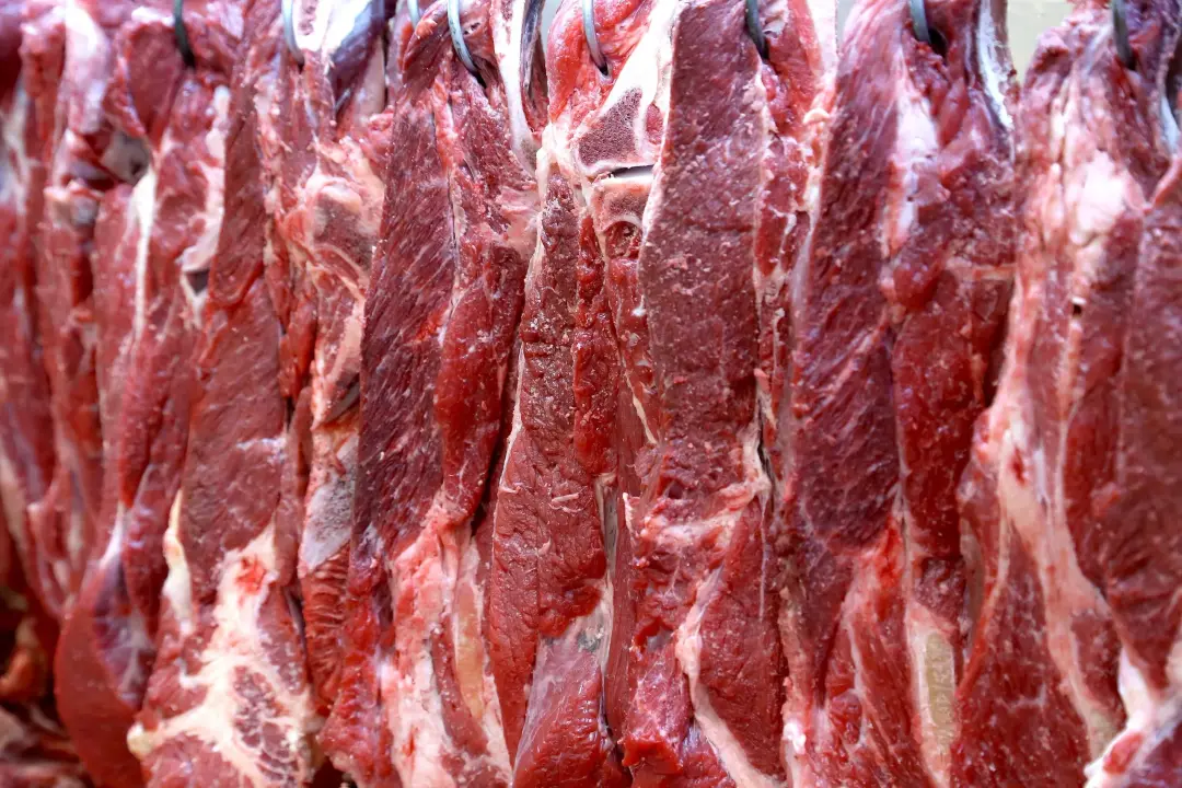 Caiu 16,11% nas exportações de carne bovina em agosto, US$ 1,399 bilhão, por causa da cota chinesa e regra da União Eur…