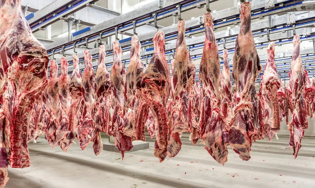 Cota de exportação de carne bovina para China em 2027 pode ser cumprida até abril, antecipando os embarques que começar…
