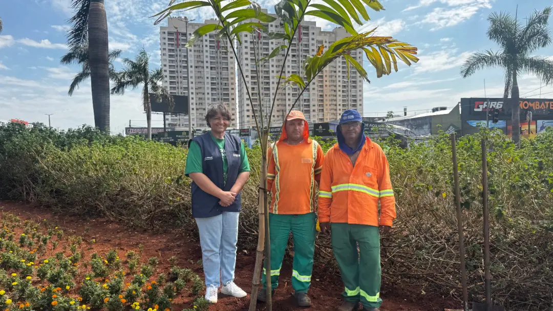 40 mil mudas ornamentais foram plantadas em Goiânia, com acompanhamento da vice-prefeita na Praça Padre Pelágio. Paisag…