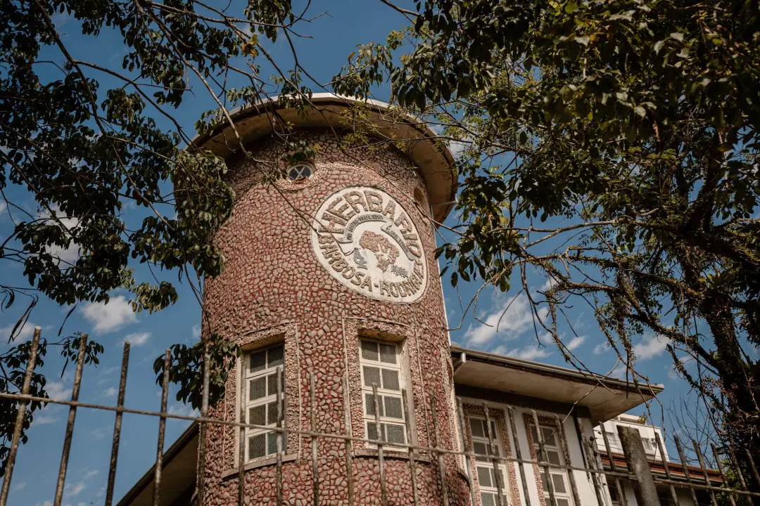 Seis espécies de plantas foram descobertas no acervo do Herbário Barbosa Rodrigues em Itajaí, SC. A revisão taxonômica …