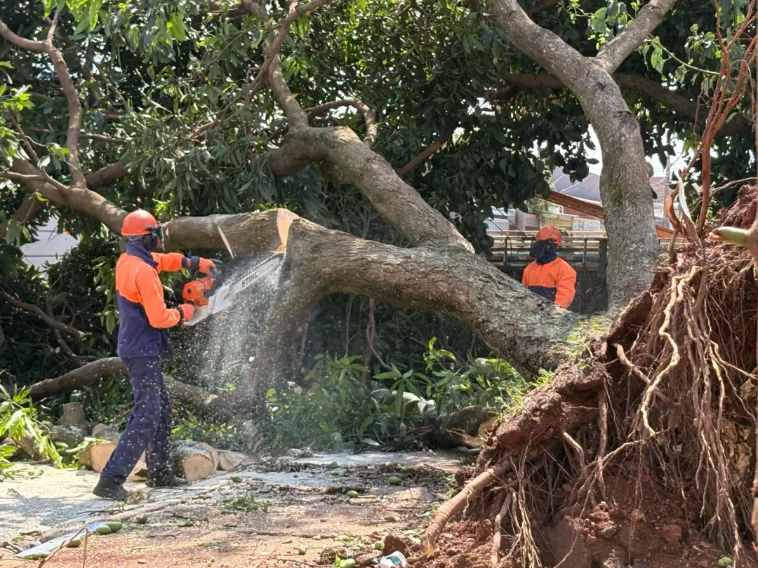 Temporal deixou rastro de destruição, com 62 ocorrências atendidas em Samambaia, Planaltina e Arapoanga. Ver telhas cai…