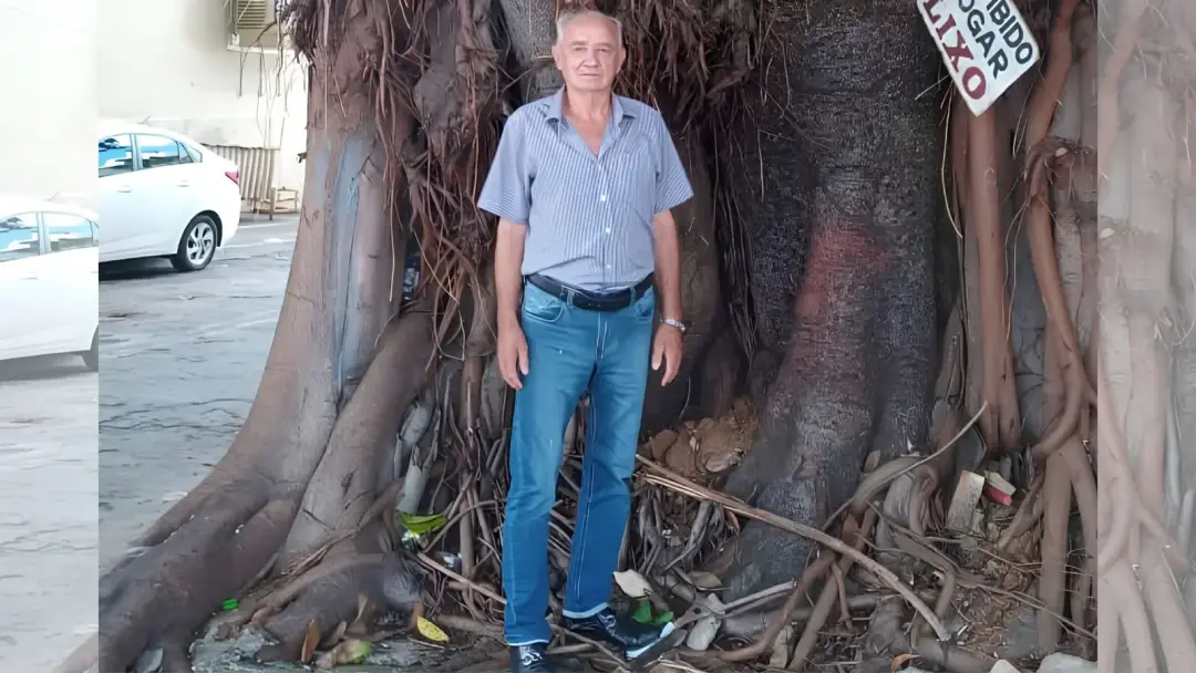 Gameleira plantada em Goiânia há 60 anos será retirada após parecer técnico apontar riscos estruturais e bloqueio do pa…