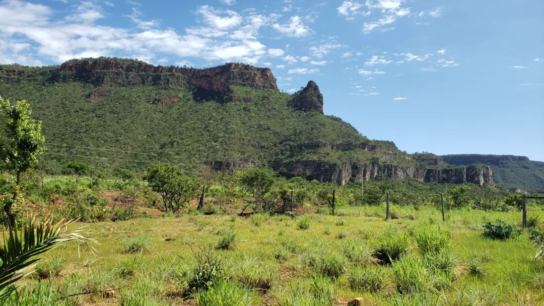 Goiás teve 11 deputados votando pela derrubada de vetos na Lei Geral do Licenciamento Ambiental. A retomada desses trec…