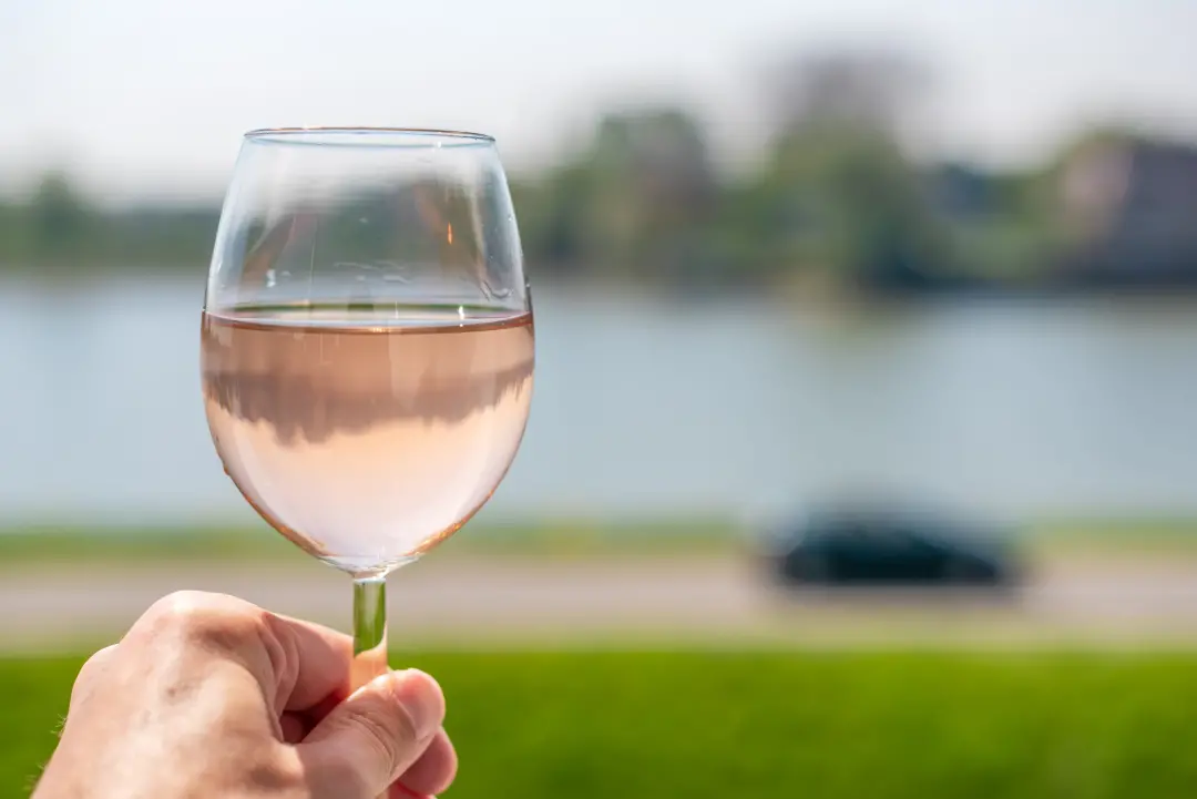 Bebemos pouco vinho rosado em uma mesa próxima, diz alguém. A frase simples carrega algo mais, um aviso encriptado sobr…