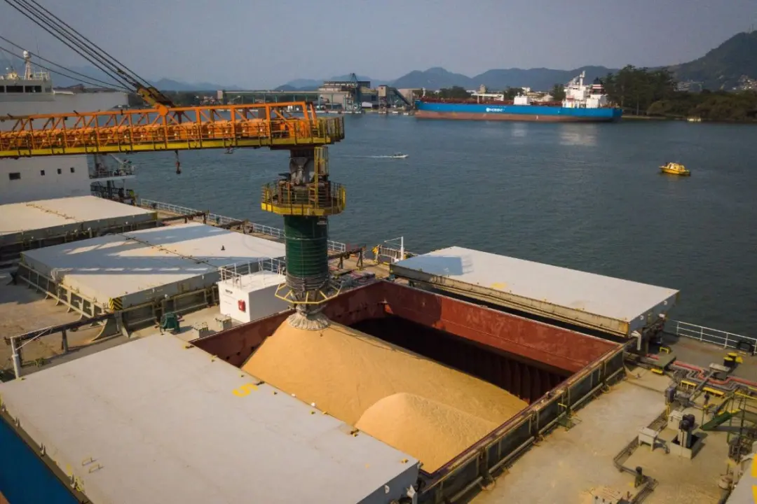 Justiça condenou empresa e responsável a pagar 150 mil por não registrar trabalhadores na limpeza de porões de navios n…
