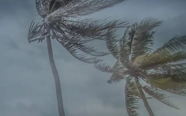 Rio de Janeiro terá sexta sem chuva, mas com ventos chegando a 76 km/h. Essa trégua de instabilidade é bem-vinda depois…