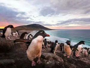 As Malvinas têm moradores que preferem a Inglaterra, apesar da questão da soberania argentina. Essa postura reflete um …
