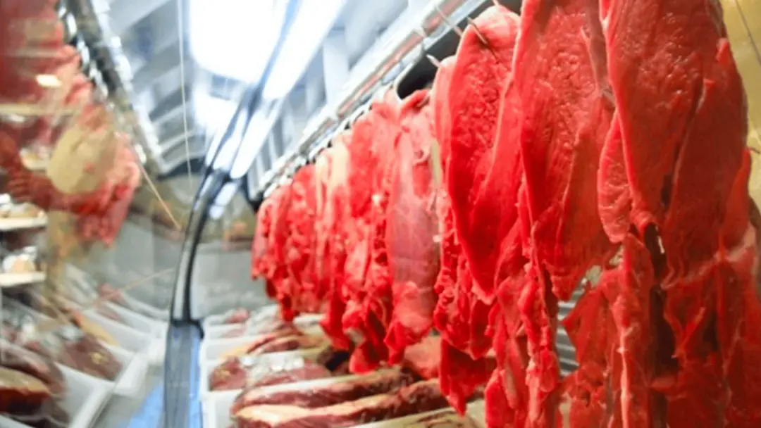 A UE deve voltar a comprar carne bovina do Brasil no primeiro semestre de 2027, segundo a Abiec. O processo é lento, ex…