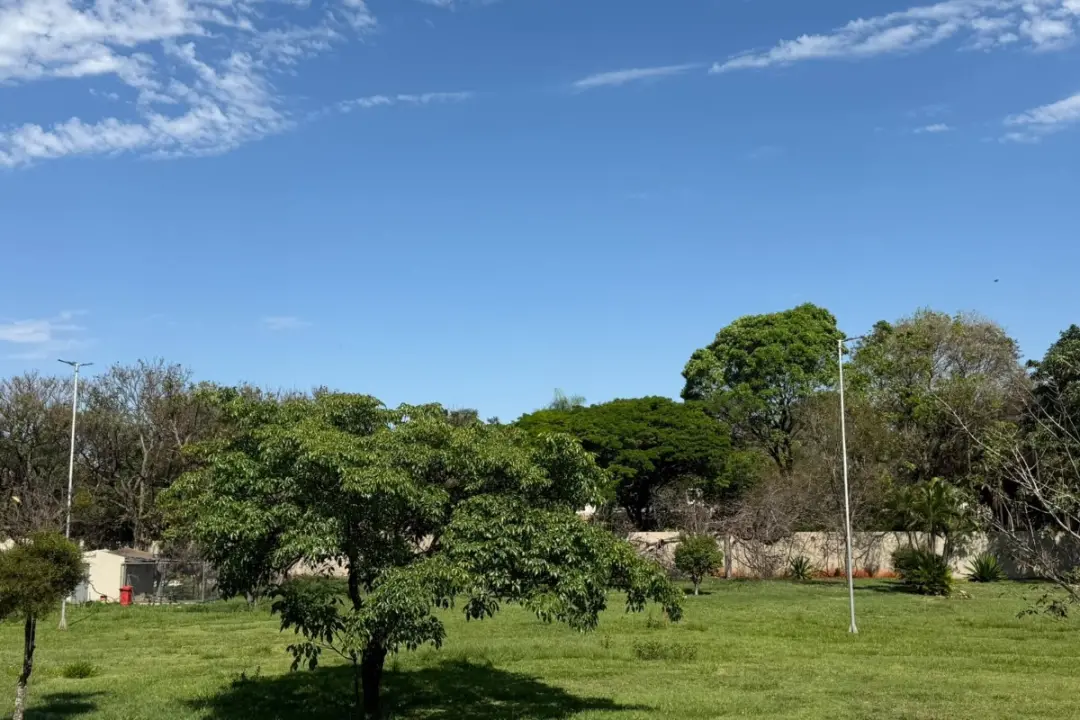 Temperaturas de até 39°C e risco de temporais em Mato Grosso do Sul neste fim de semana. A previsão indica pancadas for…
