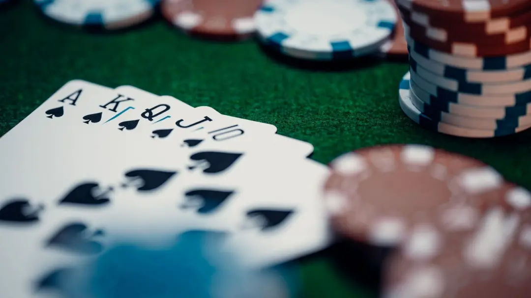 Live casino saiu do papel de simples cópia do cassino tradicional. Com dealers reais e cenários de estúdio, a experiênc…