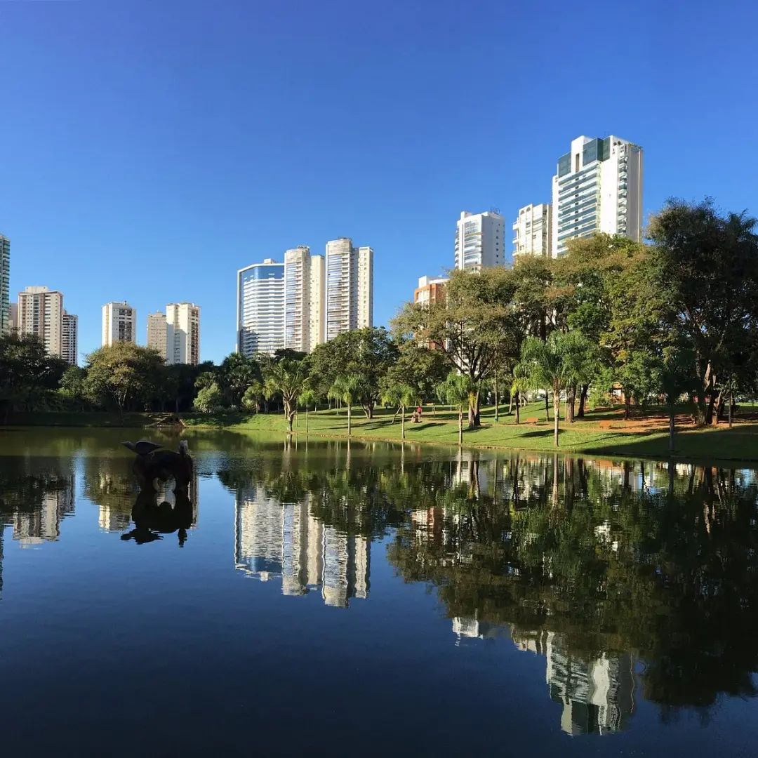 Parque Flamboyant recebe manhã de conscientização sobre doenças reumáticas no domingo, das 9h às 12h. A gente precisa e…
