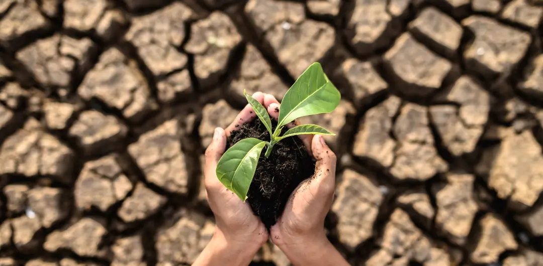 Prêmio de R$ 20 mil para pesquisas sobre clima até 2 de outubro. É um movimento importante pra fortalecer o estudo dos …