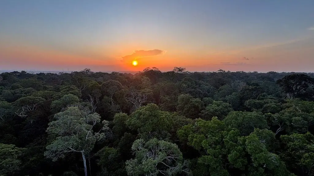 Temperaturas acima dos 35 graus em Manaus e Palmas, enquanto Rio Branco e Porto Velho recebem chuva significativa. Essa…