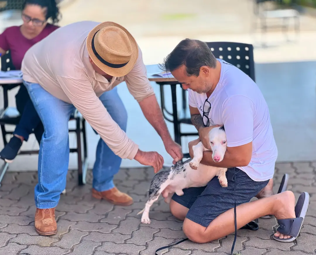 Goiânia teve mais de 140 locais disponíveis neste sábado para a vacinação antirrábica de cães e gatos. É essencial mant…