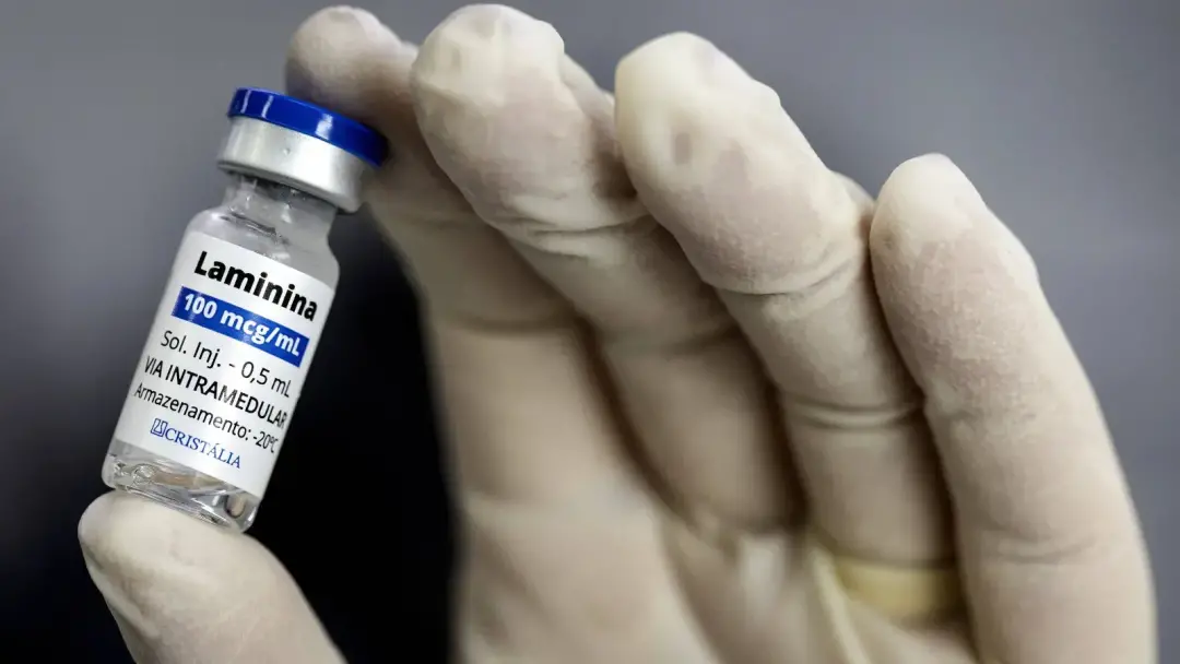 UFRJ e Cristália começam testes com polilaminina em 24 de setembro para pacientes com lesão na medula. Avaliar a segura…