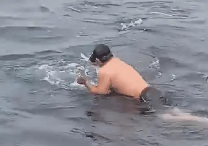 Jonathan Quispe, pescador peruano, subiu no dorso de baleia na costa de Tacna para cortar rede de pesca presa ao animal…