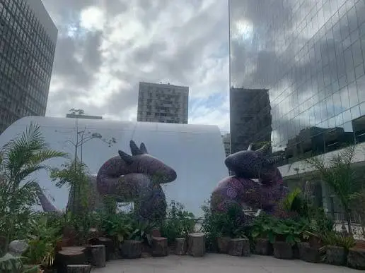 Centro do Rio recebe encontros inéditos de ciência e arte a partir de setembro. Conversem sobre plantas, memória e hist…