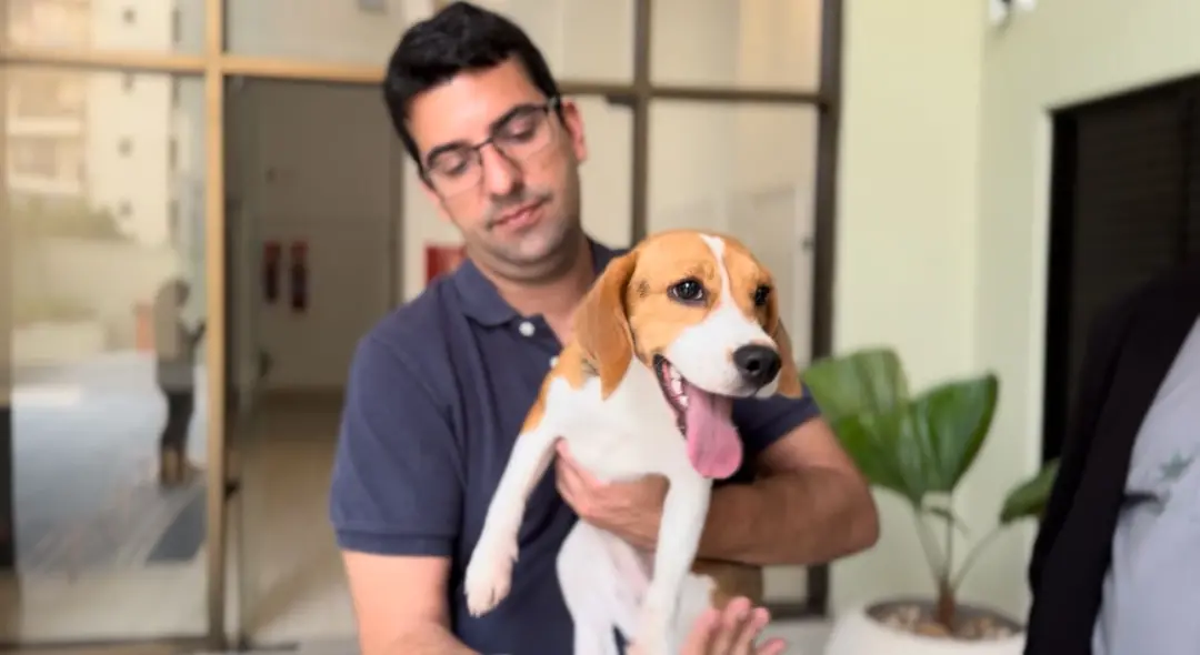 Projeto aumenta a pena em um terço ou até a metade por maus-tratos a cães e gatos idosos na Câmara. A ideia é que a ida…