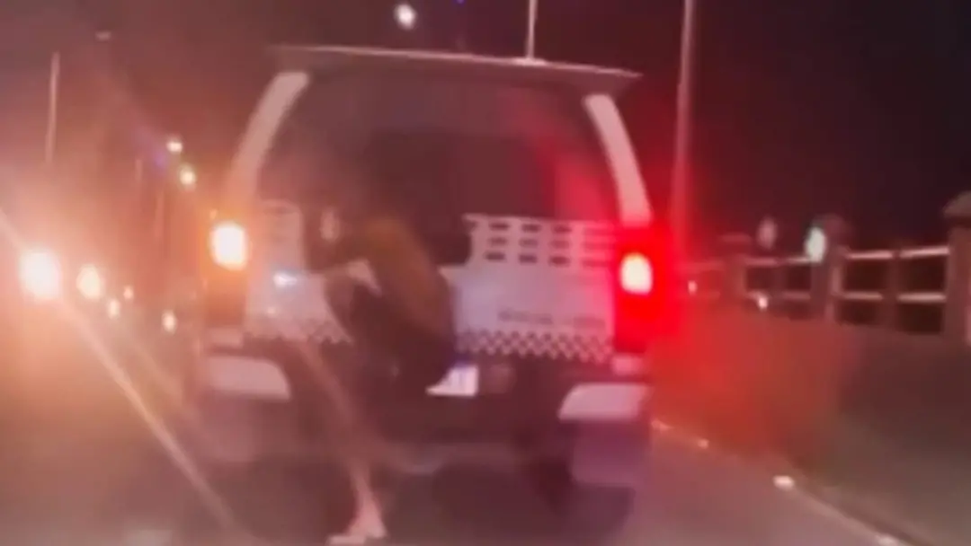 Homem foi morto a tiros na Rua Tangará, em São José de Ribamar. A investigação da SHPP busca entender por que um caso a…