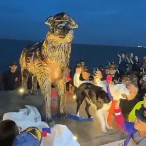 Cachorro que resgatou vítimas de terremotos ganhou uma estátua na Venezuela. É bom ver o reconhecimento de atos de cora…