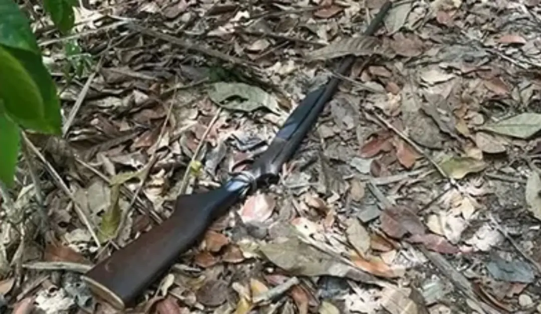 Maria Felix, idosa de 79 anos, morreu em Itupiranga, no Pará, atingida por um tiro durante caçada. O marido fez o dispa…
