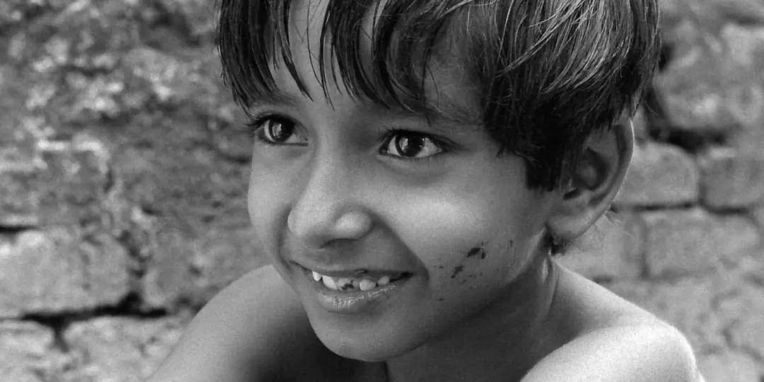 HBO Max encerra a exibição do filme de estreia de um diretor influente, que fez sua estreia em 1955 e é parte de uma tr…