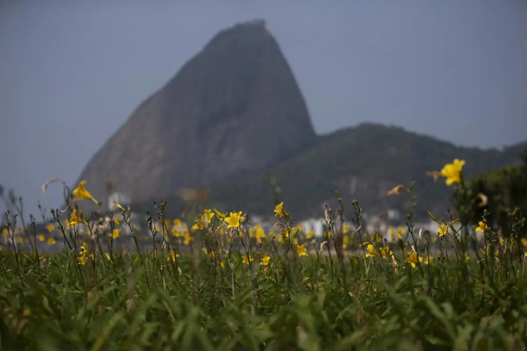 Primavera chega oficialmente dia 22 de setembro, marcando o fim do inverno. O El Niño pode trazer calor acima da média …