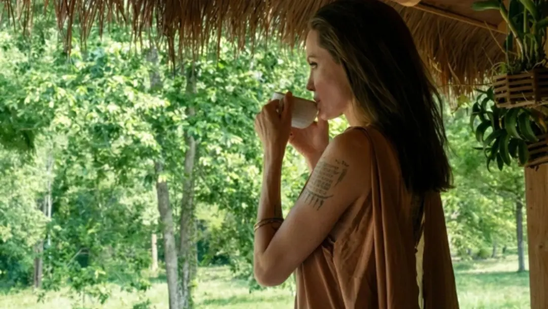 Angelina Jolie tem uma fazenda de 39 hectares no Camboja, perto da floresta protegida de Samlout. É bom ver que a área …