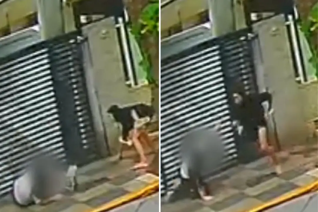 Santos, no litoral de São Paulo, mulher foi perseguida e derrubada em calçada durante um assalto por celular. Essa viol…